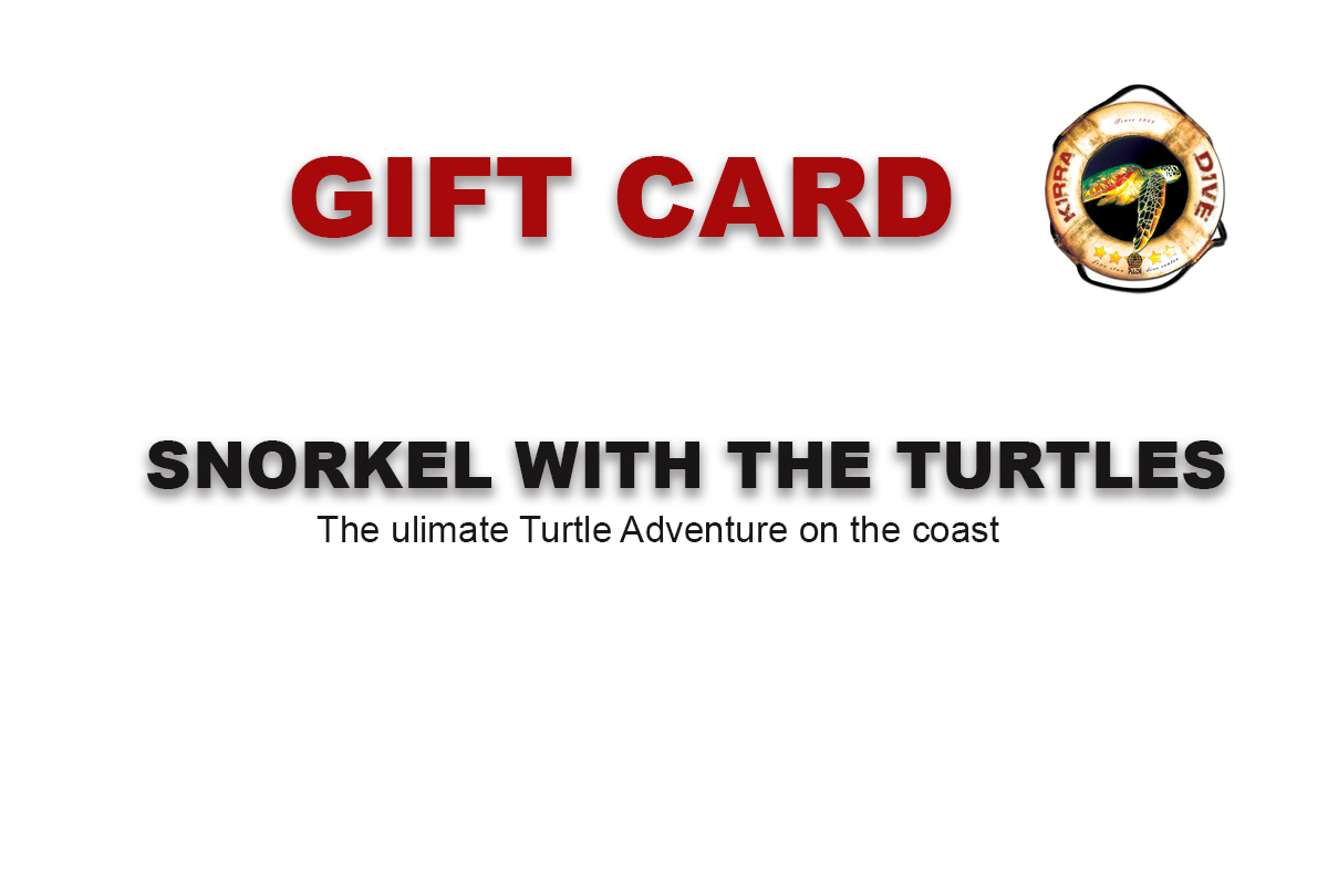 SNORKEL WITH THE TURTLES  - COOK ISLAND